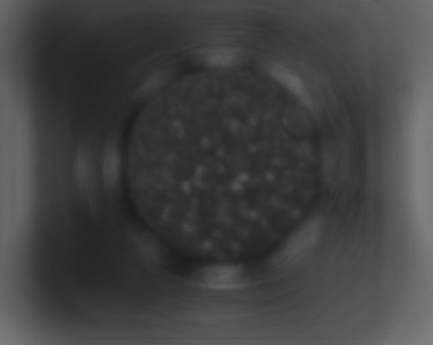 X0000101390161200807071205