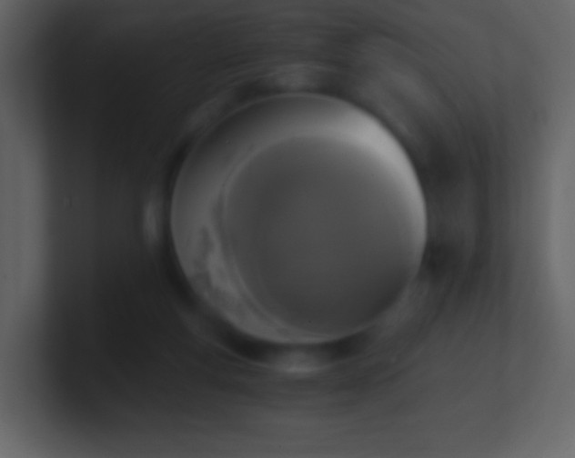 X0000101390163200807071205