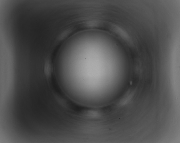 X0000101390164200807071205