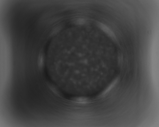 X0000101390165200807071205