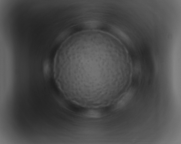 X0000101390166200807071205