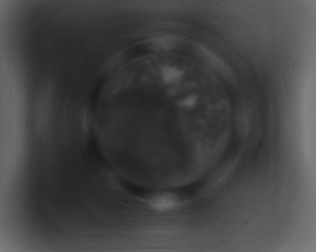 X0000101390169200807071205