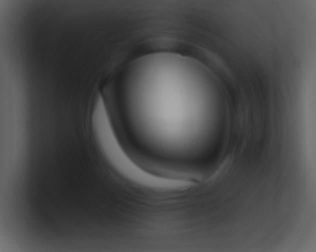 X0000101390172200807071205