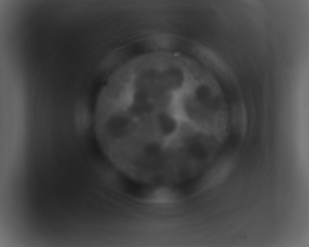 X0000101390173200807071205