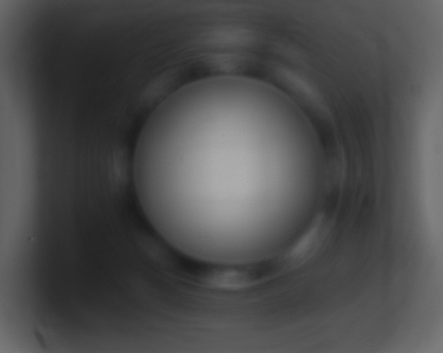 X0000101390174200807071205