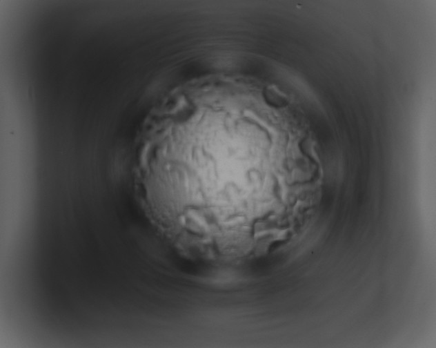 X0000101390175200807071205