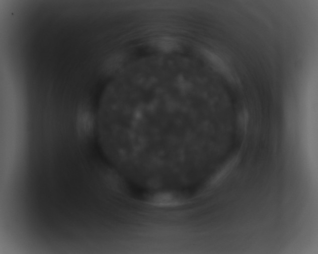 X0000101390177200807071205