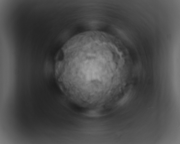 X0000101390178200807071205