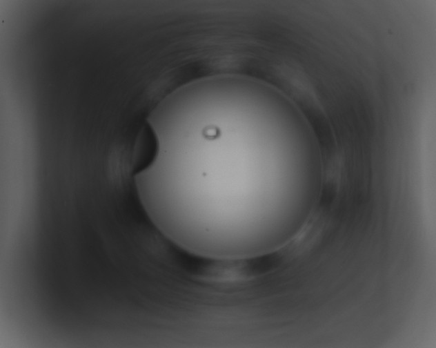 X0000101390179200807071205