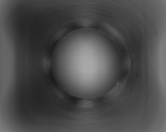 X0000101390180200807071205