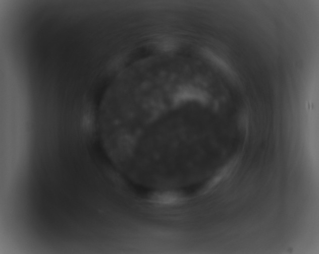 X0000101390181200807071205