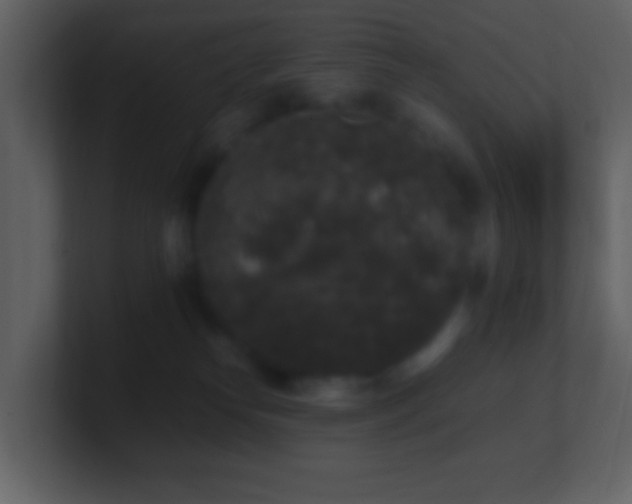 X0000101390182200807071205