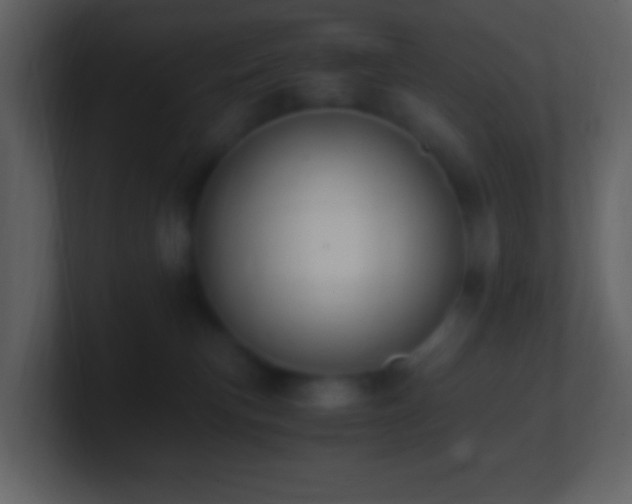 X0000101390183200807071205