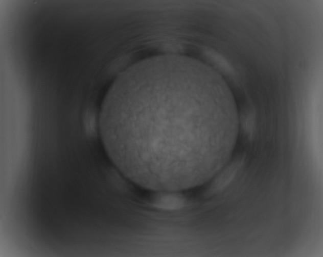 X0000101390185200807071205