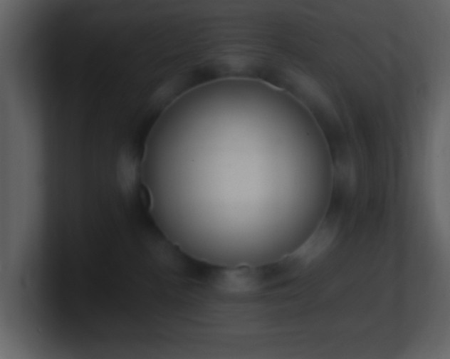 X0000101390188200807071205