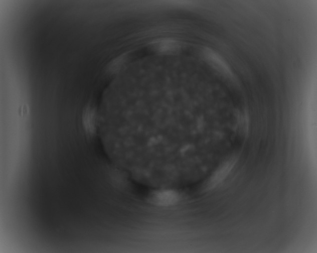 X0000101390189200807071205