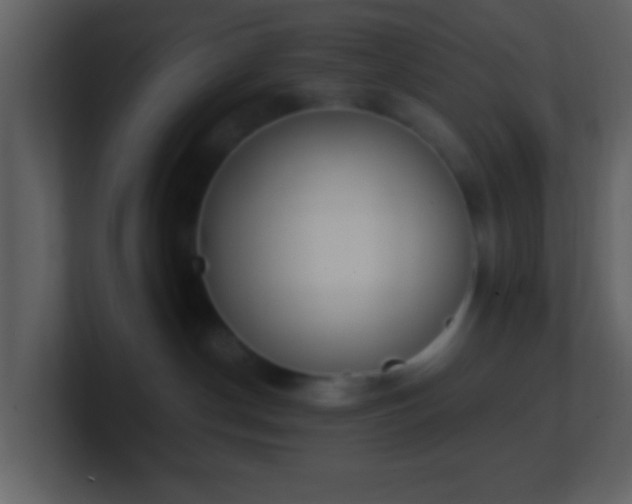 X0000101390190200807071205