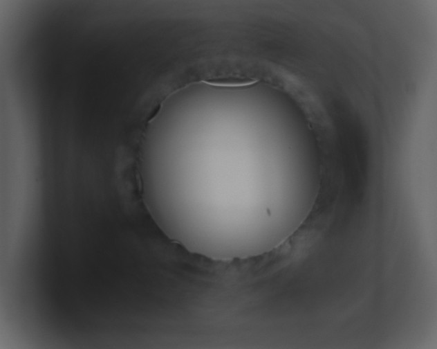 X0000101390192200807071205