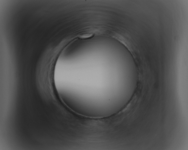 X0000101390193200807071205