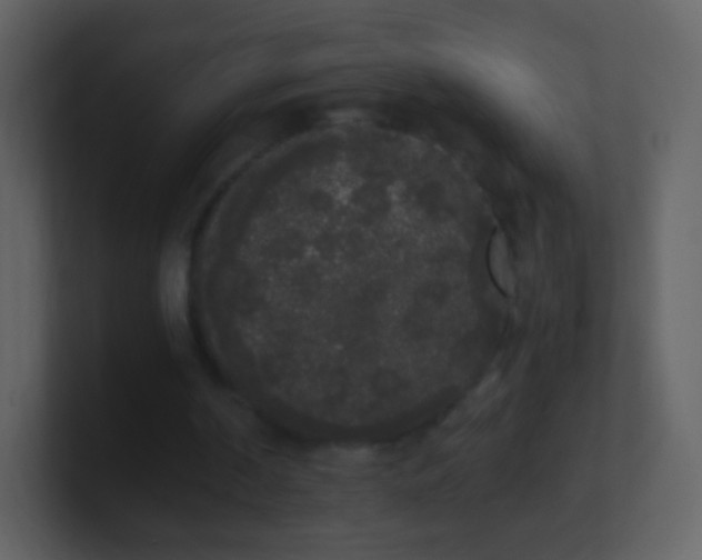 X0000101390194200807071204