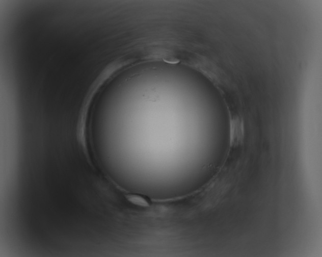 X0000101390195200807071204