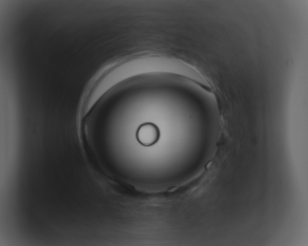 X0000101390196200807071204