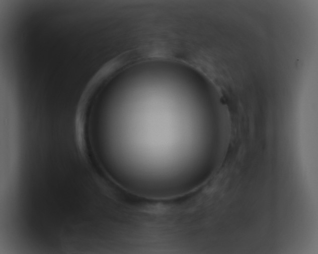 X0000101390197200807071204