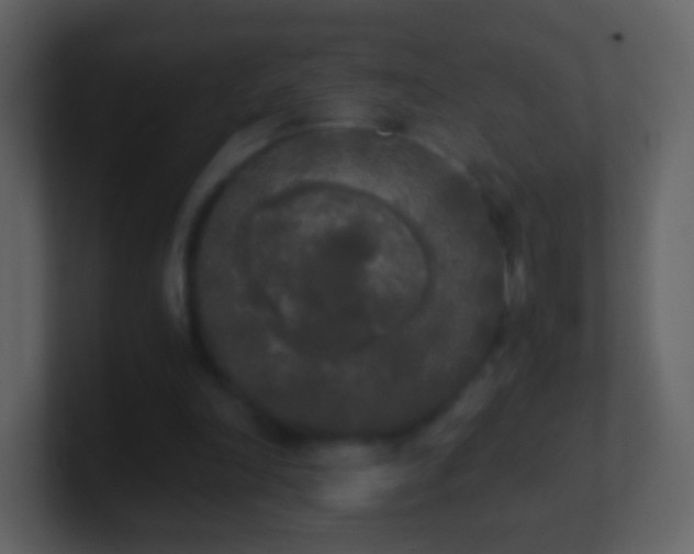 X0000101390198200807071204