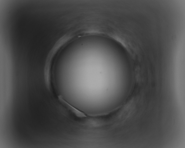 X0000101390199200807071204