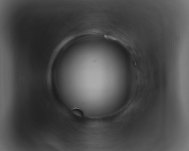 X0000101390200200807071204