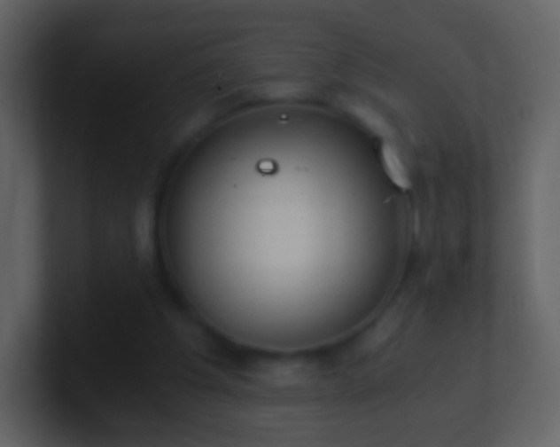 X0000101390201200807071204