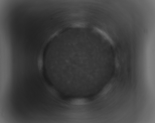 X0000101390202200807071204