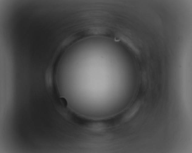 X0000101390203200807071204