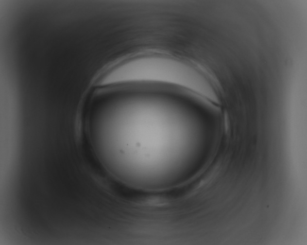 X0000101390204200807071204