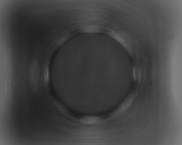 X0000101390205200807071204