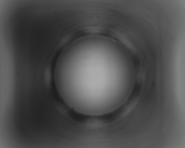 X0000101390207200807071204