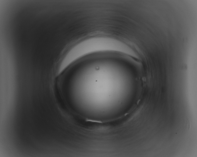 X0000101390208200807071204