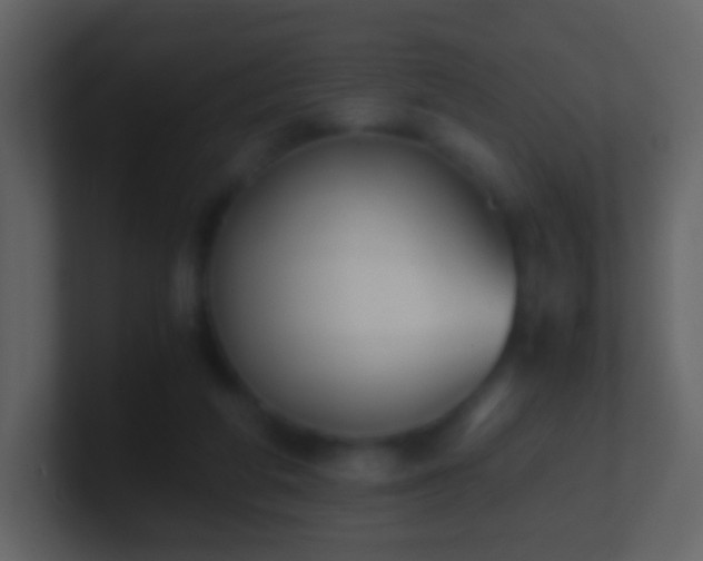 X0000101390210200807071204