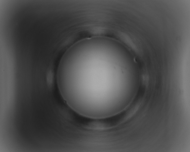 X0000101390211200807071204