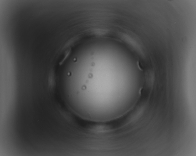 X0000101390212200807071204