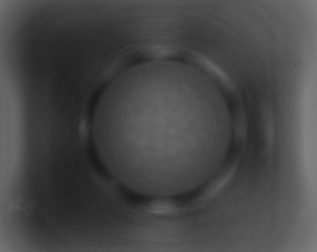 X0000101390214200807071204