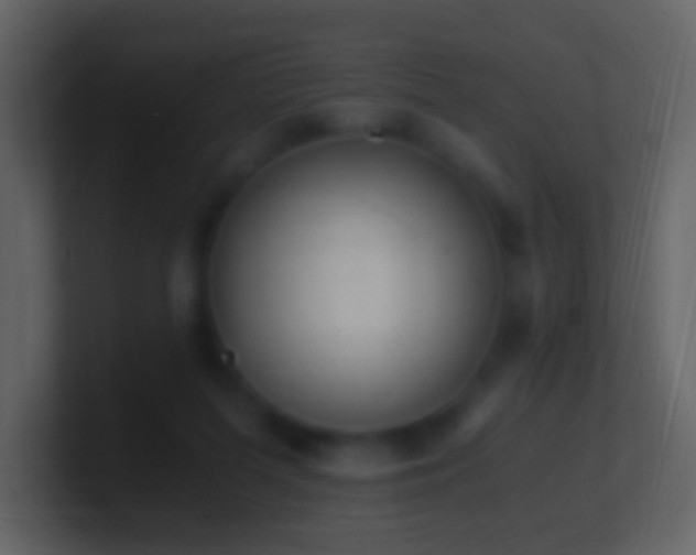 X0000101390215200807071204