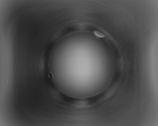 X0000101390217200807071204