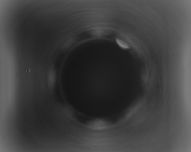 X0000101390219200807071204