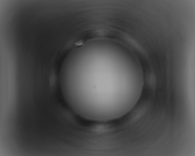 X0000101390220200807071204