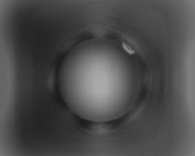 X0000101390221200807071204