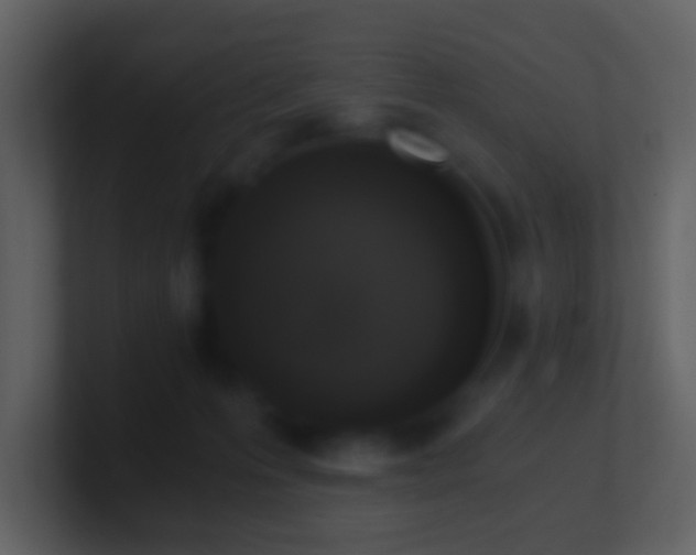 X0000101390223200807071204