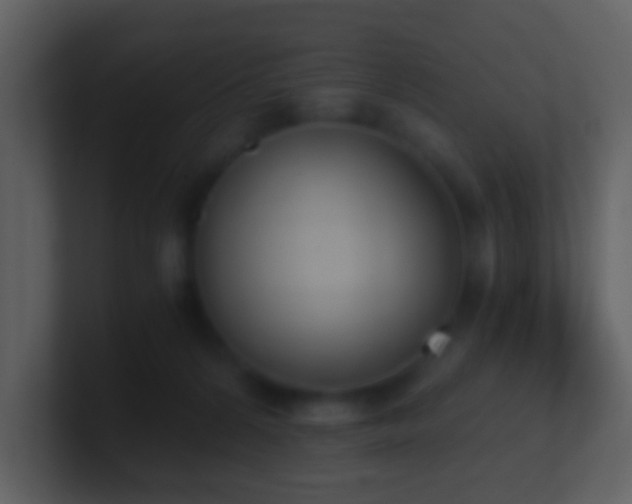 X0000101390224200807071204