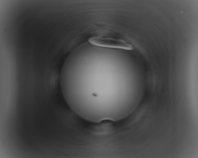 X0000101390225200807071204