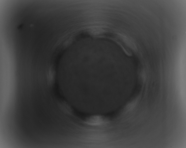 X0000101390227200807071204